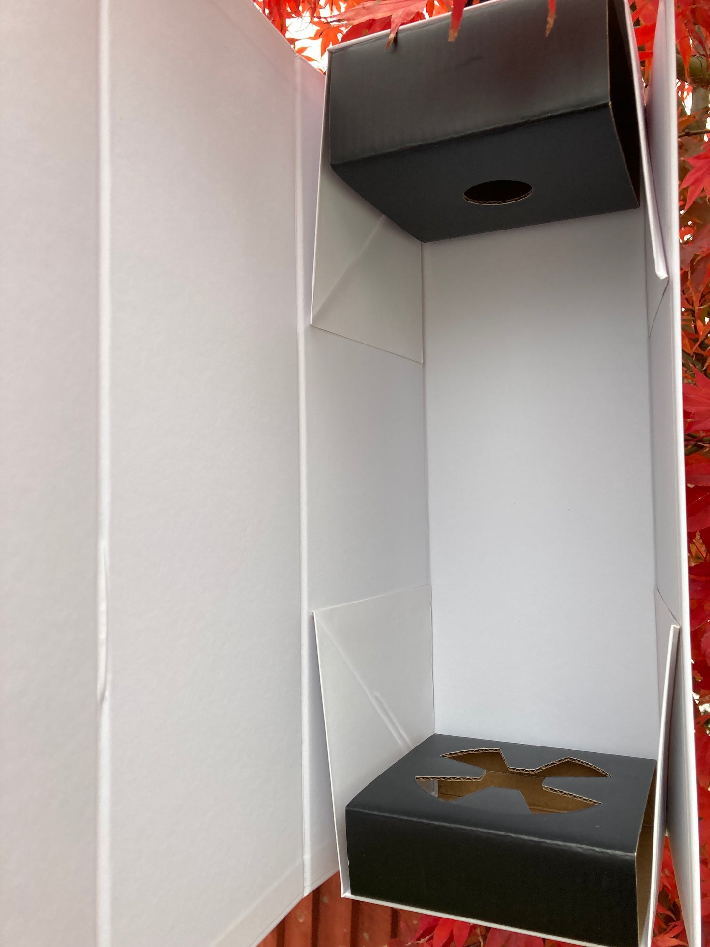 Magnetic Wine box